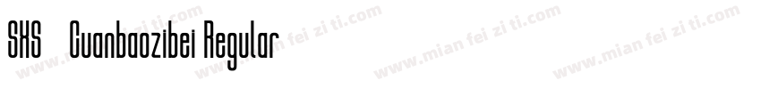 SXS-Cuanbaozibei Regular字体转换